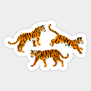 Tigers on Turquoise Sticker